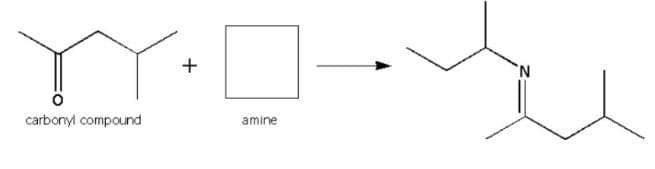 YO
amine
carbonyl compound
N