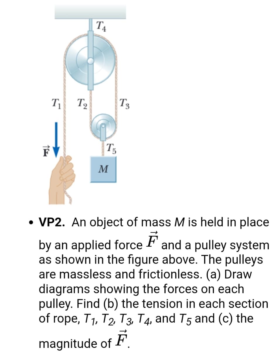 T4
T T2
T3
FV
T;
M
• VP2. An object of mass M is held in place
F
by an applied force and a pulley system
as shown in the figure above. The pulleys
are massless and frictionless. (a) Draw
diagrams showing the forces on each
pulley. Find (b) the tension in each section
of rope, T1, T2 T3, T4, and T5 and (c) the
magnitude of F.
