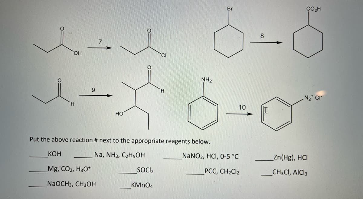 OH
9
HO
CI
SOCI₂
KMnO4
H
NH₂
Put the above reaction # next to the appropriate reagents below.
KOH
Na, NH3, C2H5OH
Mg, CO2, H3O+
NaOCH3, CH3OH
Br
10
_NaNO2, HCI, 0-5 °C
PCC, CH₂Cl₂
8
CO₂H
N₂ Cr
_Zn(Hg), HCI
CH3CI, AICI 3