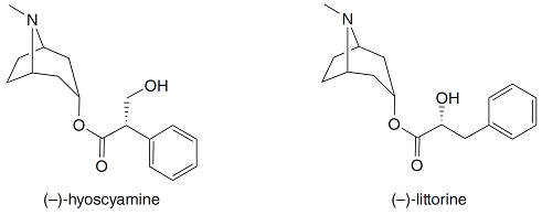 N.
OH
(-)-hyoscyamine
(-)-littorine
