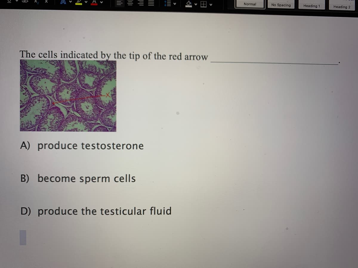 Normal
No Spacing
Heading 1
Heading 2
The cells indicated by the tip of the red arrow
A) produce testosterone
B) become sperm cells
D) produce the testicular fluid
