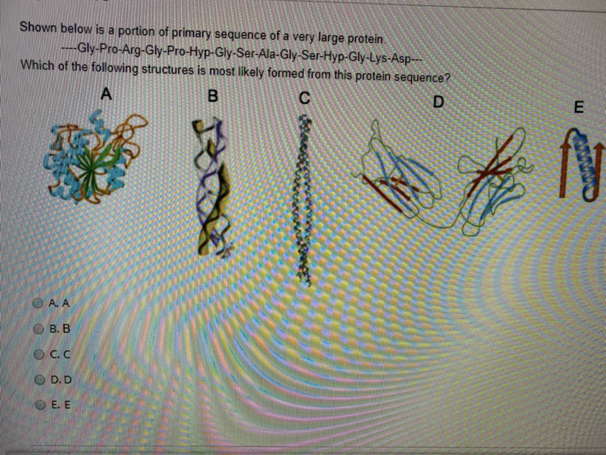 Shown below is a portion of primary sequence of a very large protein.
-Gly-Pro-Arg-Gly-Pro-Hyp-Gly-Ser-Ala-Gly-Ser-Hyp-Gly-Lys-Asp---
Which of the following structures is most likely formed from this protein sequence?
D
A. A
О В. В
OC.C
O D. D
OE. E
B.
