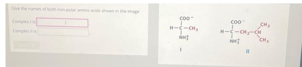 Give the names of both non-polar amino acids shown in the image
Complex I is
Comples i is
I
COO-
H-C-CH3
I
NH
I
COO- CH 3
H-C-CH₂-CH
NH
11
CH3