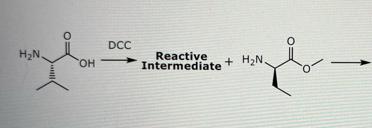 H₂N
OH
DCC
Reactive
Intermediate
+ H₂N,