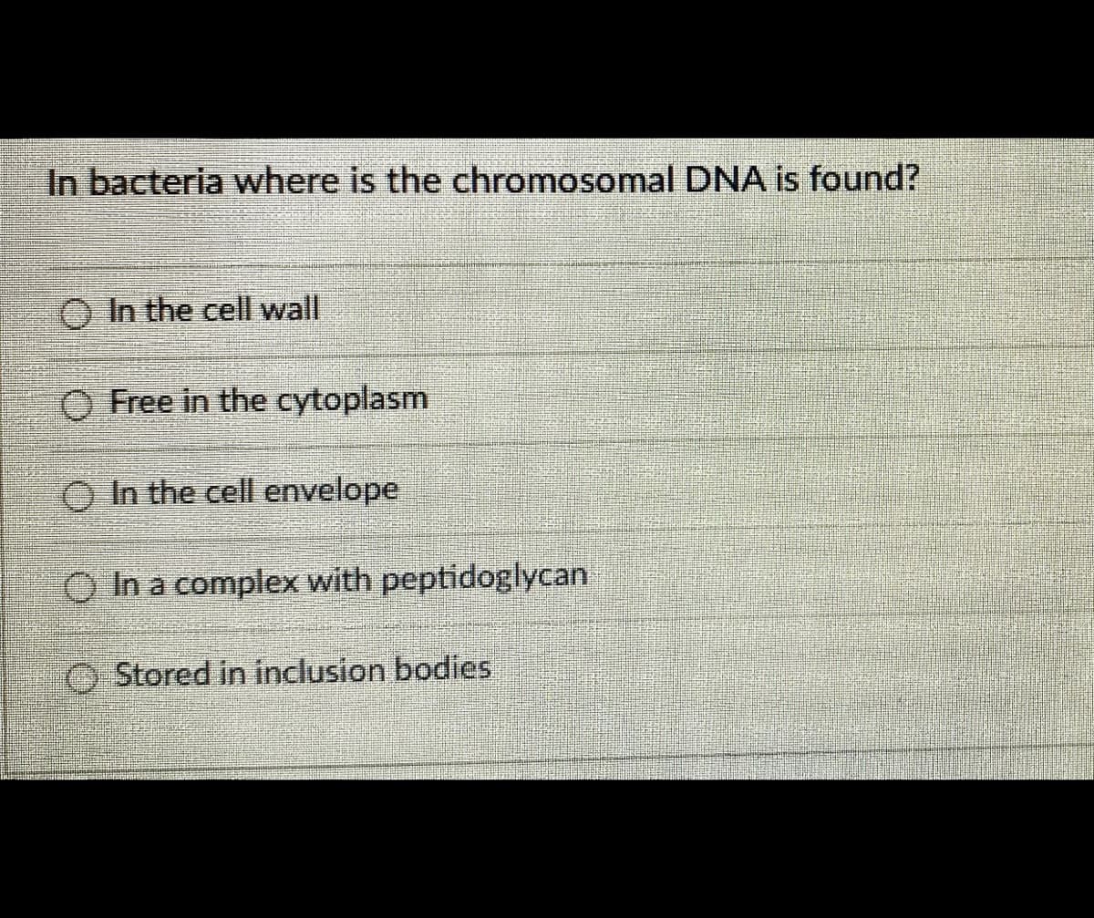 In bacteria where is the chromosomal DNA is found?
In the cell wall
Free in the cytoplasm
O In the cell envelope
O In a complex with peptidoglycan
Stored in inclusion bodies