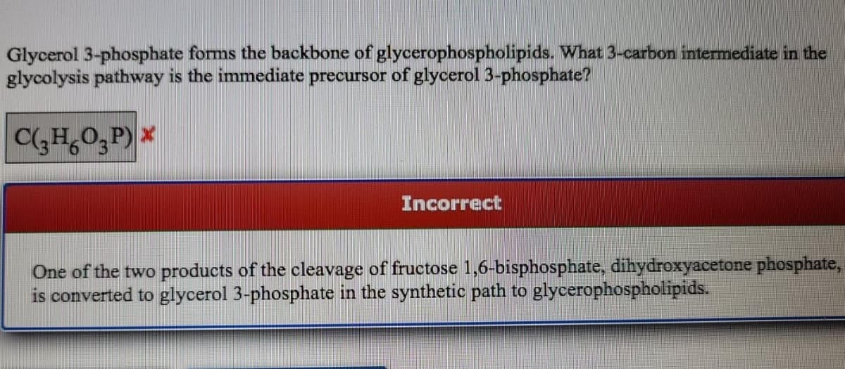 Glycerol 3-phosphate forms the backbone of glycerophospholipids. What 3-carbon intermediate in the
glycolysis pathway is the immediate precursor of glycerol 3-phosphate?
C(GHO,P) ×
Incorrect
One of the two products of the cleavage of fructose 1,6-bisphosphate, dihydroxyacetone phosphate,
is converted to glycerol 3-phosphate in the synthetic path to glycerophospholipids.
