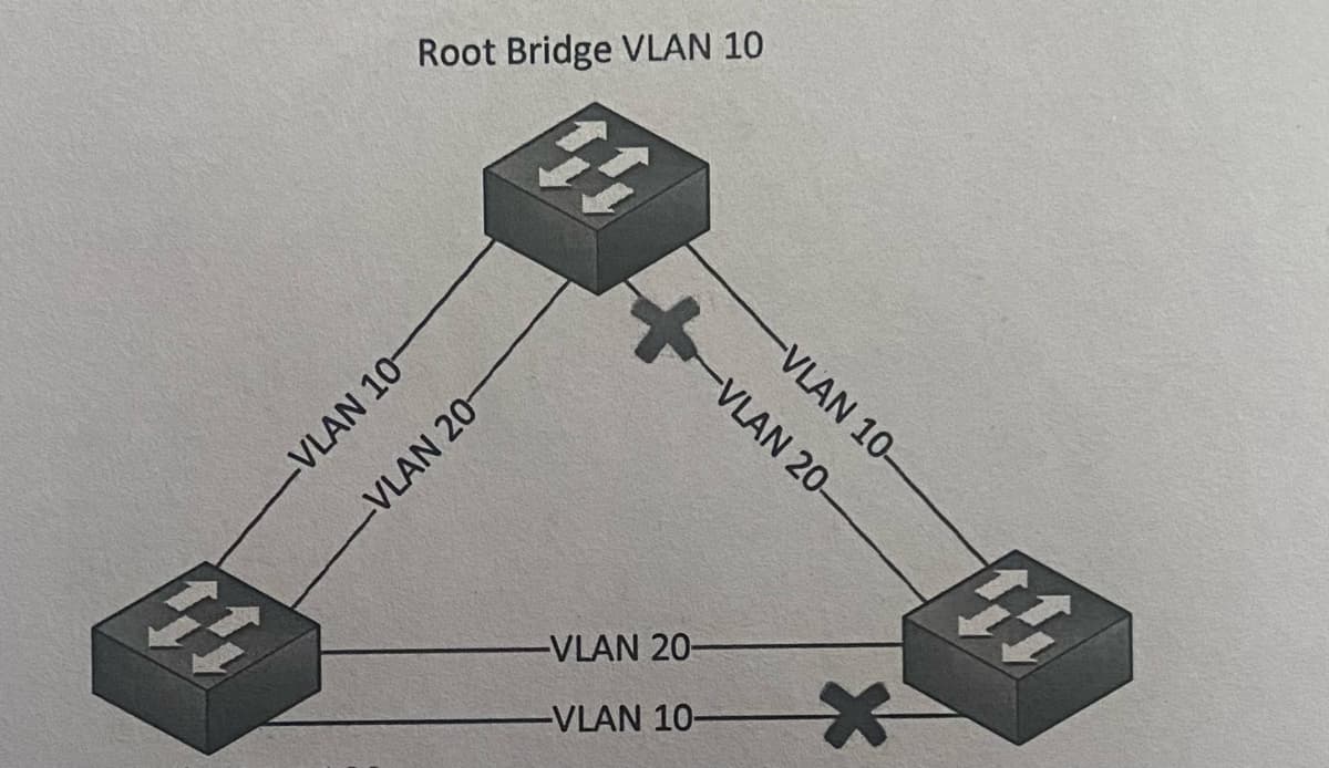 44
-VLAN 10-
Root Bridge VLAN 10
44
VLAN 20-
+VLA
-VLAN 20-
-VLAN 10-
-VLAN 10-
-VLAN 20-
44