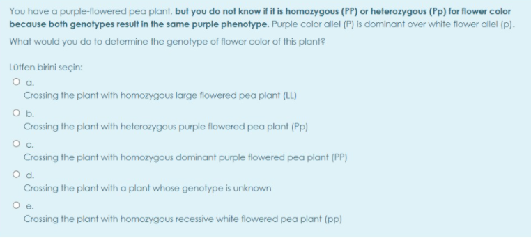 You have a purple-flowered pea plant, but you do not know if it is homozygous (PP) or heterozygous (Pp) for flower color
because both genotypes result in the same purple phenotype. Purple color allel (P) is dominant over white flower allel (p).
What would you do to determine the genotype of flower color of this plant?
Lötfen birini seçin:
O a.
Crossing the plant with homozygous large flowered pea plant (LL)
Ob.
Crossing the plant with heterozygous purple flowered pea plant (Pp)
Crossing the plant with homozygous dominant purple flowered pea plant (PP)
d.
Crossing the plant with a plant whose genotype is unknown
e.
Crossing the plant with homozygous recessive white flowered pea plant (pp)

