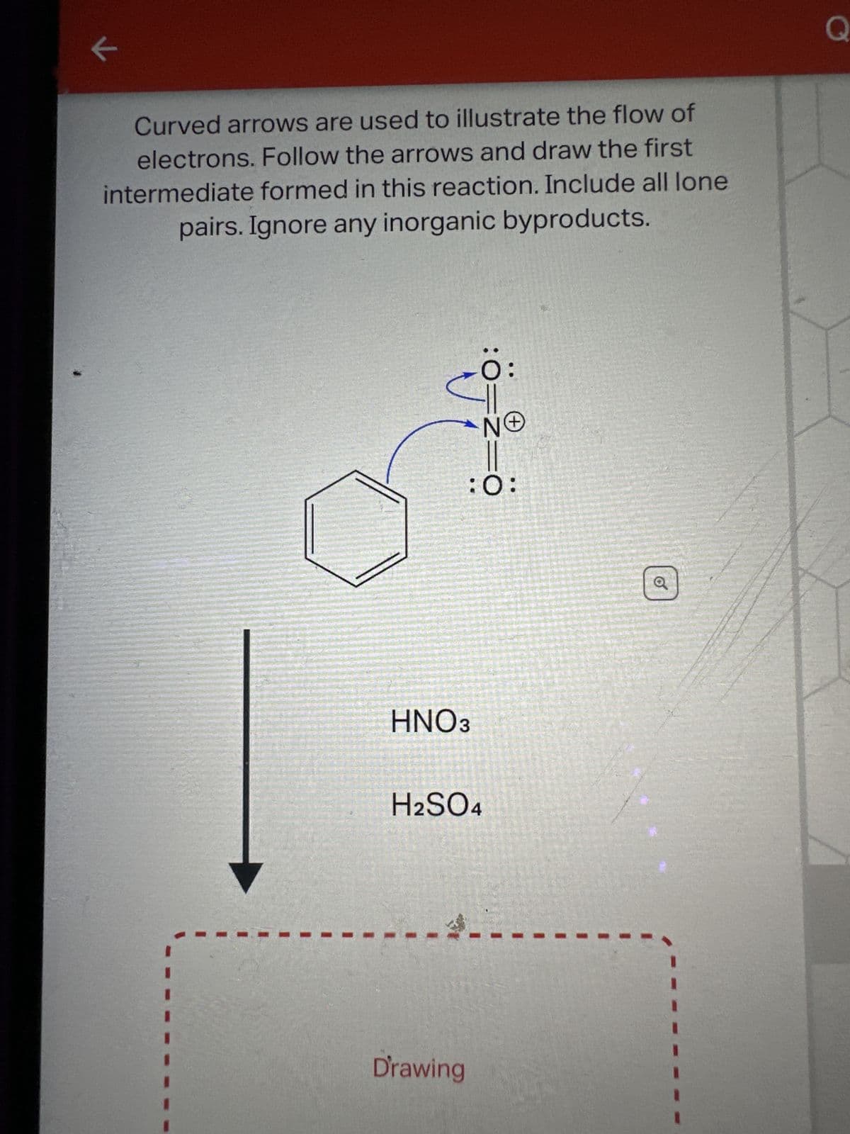 K
Curved arrows are used to illustrate the flow of
electrons. Follow the arrows and draw the first
intermediate formed in this reaction. Include all lone
pairs. Ignore any inorganic byproducts.
HNO3
Drawing
:0=
O:
-11
NO
:O:
H2SO4
Q