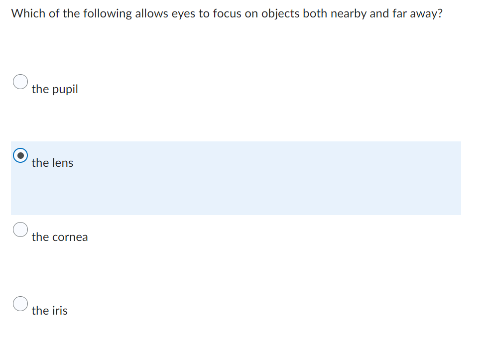 Which of the following allows eyes to focus on objects both nearby and far away?
the pupil
the lens
the cornea
the iris