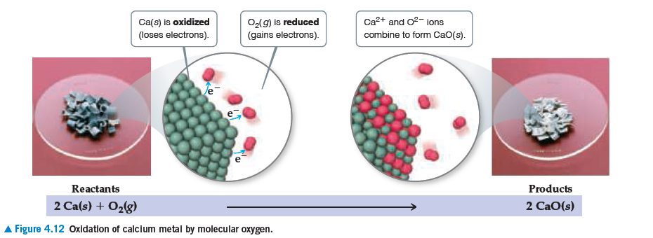 Ca2+ and O2- ions
O(g) is reduced
(gains electrons).
Ca(s) is oxidized
(loses electrons).
combine to form CaO(s).
Reactants
Products
2 Ca(s) + O2(g)
2 CaO(s)
A Figure 4.12 oxldatlon of calcium metal by molecular oxygen.
