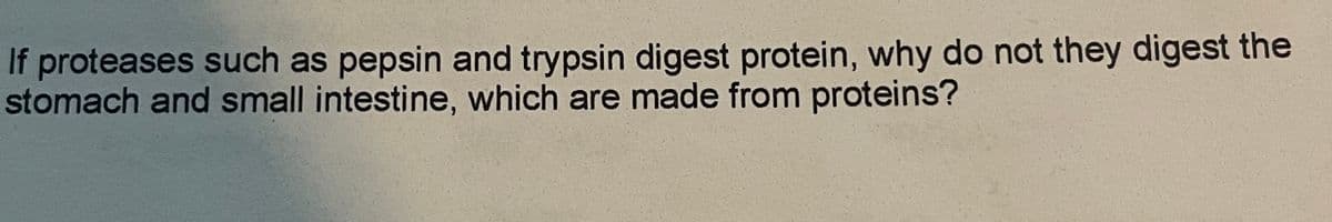 If proteases such as pepsin and trypsin digest protein, why do not they digest the
stomach and small intestine, which are made from proteins?