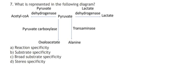 7. What is represented in the following diagram?
Pyruvate
dehydrogenase
Lactate
dehydrogenase
Acetyl-coA
Pyruvate
Lactate
Pyruvate carboxylase
Transaminase
Oxaloacetate
Alanine
a) Reaction specificity
b) Substrate specificity
c) Broad substrate specificity
d) Stereo specificity
