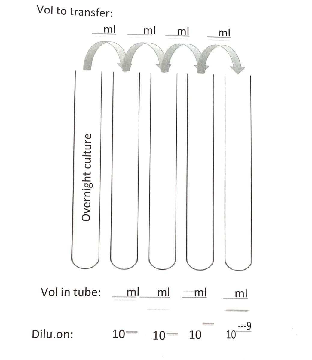 Vol to transfer:
ml
ml
ml
ml
Vol in tube:
ml
ml
ml
ml
---9
10
Dilu.on:
10-
10-
10
Overnight culture
