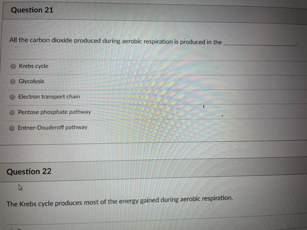 Question 21
All the carbon dioxide produced during aerobic respiration is produced in the
Krebs cycle
Glycolysis
Electron transport chain
Pentose phosphate pathway
Entner-Douderoff pathway
Question 22
The Krebs cycle produces most of the energy gained during aerobic respiration.
