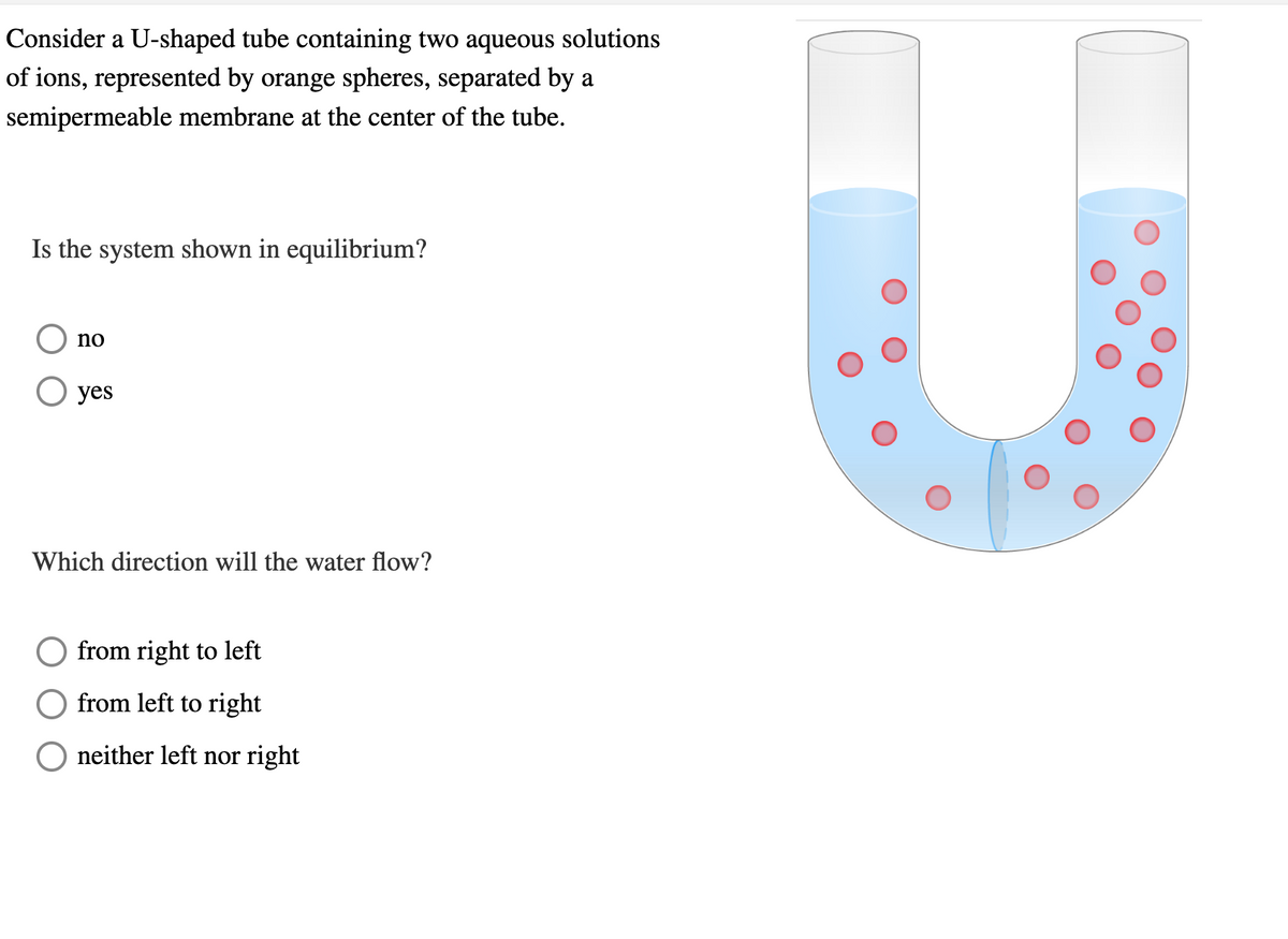 Consider a U-shaped tube containing two aqueous solutions
of ions, represented by orange spheres, separated by a
semipermeable membrane at the center of the tube.
Is the system shown in equilibrium?
no
○ yes
Which direction will the water flow?
from right to left
from left to right
neither left nor right
