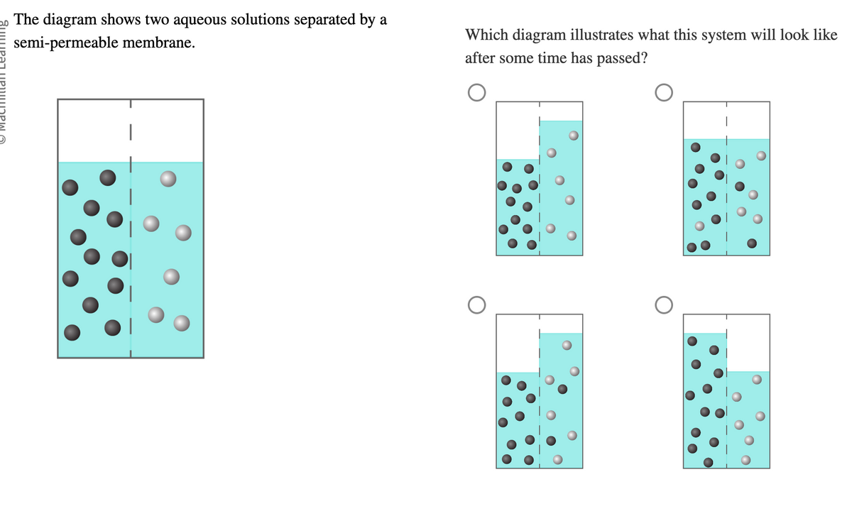 Macmillan Learning
The diagram shows two aqueous solutions separated by a
semi-permeable membrane.
Which diagram illustrates what this system will look like
after some time has passed?