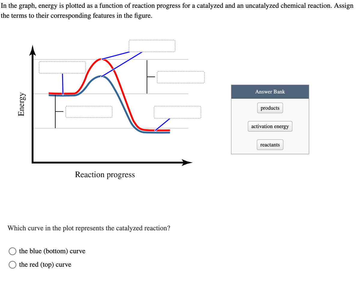 In the graph, energy is plotted as a function of reaction progress for a catalyzed and an uncatalyzed chemical reaction. Assign
the terms to their corresponding features in the figure.
Energy
A
Answer Bank
products
activation energy
Reaction progress
Which curve in the plot represents the catalyzed reaction?
the blue (bottom) curve
the red (top) curve
reactants