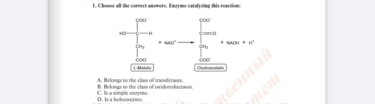 1. Choose all the correct answers. Enzyme catalyzing this reaction:
COO
CO0
но
C-H
+ NAD*
CH2
+ NADH + H*
CH2
лвенный
тет
CoO
COO
L-Malate
Oxaloacetate
A. Belongs to the class of transferases.
B. Belongs to the class of oxidoreductases.
C. Is a simple enzyme.
D. Is a holoenzyme.
