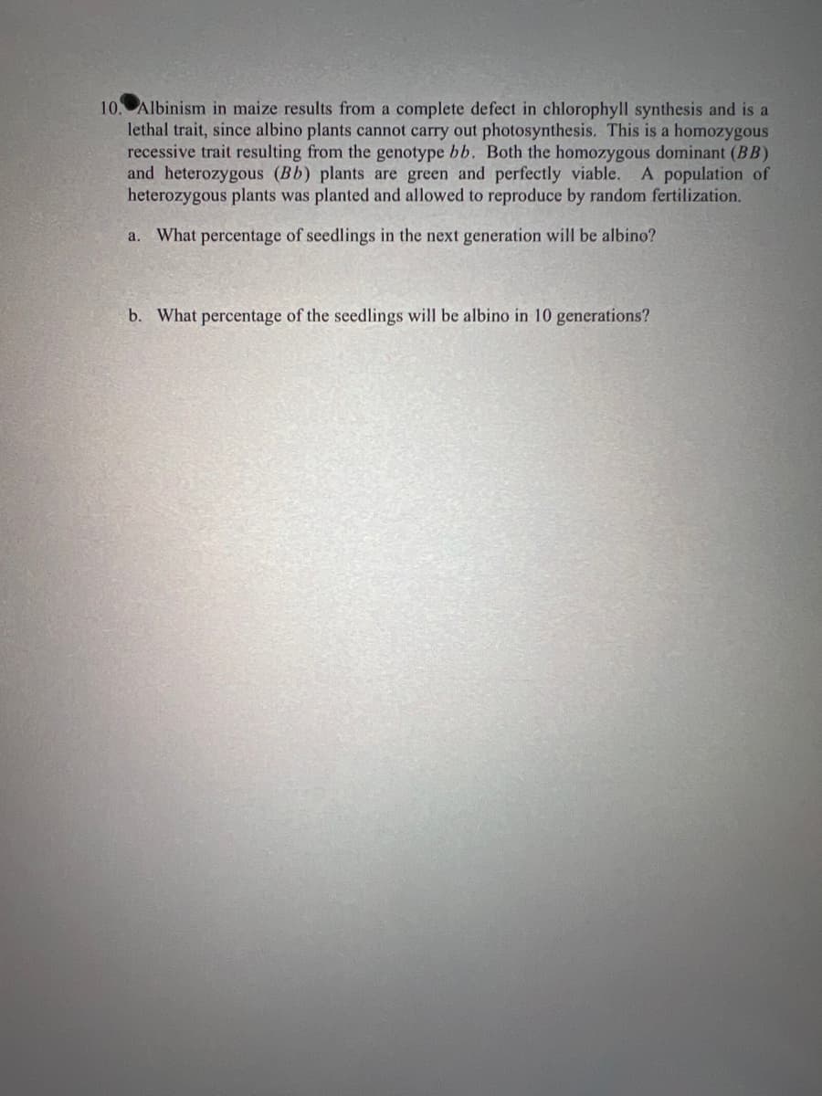 10. Albinism in maize results from a complete defect in chlorophyll synthesis and is a
lethal trait, since albino plants cannot carry out photosynthesis. This is a homozygous
recessive trait resulting from the genotype bb. Both the homozygous dominant (BB)
and heterozygous (Bb) plants are green and perfectly viable. A population of
heterozygous plants was planted and allowed to reproduce by random fertilization.
a. What percentage of seedlings in the next generation will be albino?
b. What percentage of the seedlings will be albino in 10 generations?