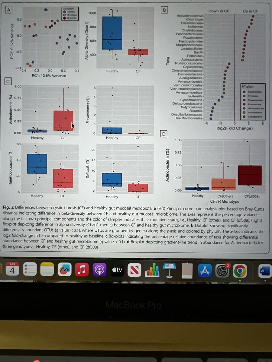 Ruminococcaceae (%)
PC2: 9.32% Variance
0.2
0.0
C
-0.40.4
1.00-
Actinobacteria (%)
0.75-
0.50
0.25
-0.2
0.0
Condition
Hothy
Cromar
1000-
0.2
0.4
PC1: 13.8 % Variance
0.00
Healthy
CF
60-
20-
Healthy
CF
Sutterella (%)
Butyricimonas (%)
20
15.
10-
Alpha Diversity (Chao1)
800-
600
400
Healthy
CF
Таха
Acidaminococcus
Clostridium
Tissierellaceae-
Vellonella-
Clostridiaceae-
Fusobacteriaceae-
Fusobacteria-
Fusobacteriales-
Streptococcaceae-
Lactobacillales-
Bacill
Firmicutes
Actinobacteria-
Ruminococcacene
Caprococcus
Christensenellaceae-
Barnesiellaceae-
Alcaligenaceae-
Verrucomicrobia
Down in CF
Up in CF
Verrucomicrobiales-
Verrucomicrobiaceae-
Verrucomicrobiae-
Sutterella-
Cyanobacteria-
Deltaproteobacteria-
Butyricimonas-
Bilophila
Phylum
Bacter
Promobacteria
Funclectora
Actinctontwr
Desulfovibrionaceae-
Desulfovibrionales-
D
Healthy
CF
1.00-
Healthy
CF
Actinobacteria (%)
0.75
0.50-
0.25
-3
0
في
Cynobacteris
log2(Fold Change)
0.00-
Healthy
CF(Other)
CFTR Genotype
CF(df508)
Fig. 2 Differences between cystic fibrosis (CF) and healthy gut mucosal microbiota. a (left) Principal coordinate analysis plot based on Bray-Curtis
distance indicating difference in beta-diversity between CF and healthy gut mucosal microbiome. The axes represent the percentage variance
along the first two principal components and the color of samples indicates their mutation status, ie., Healthy, CF (other), and CF (df508); (right)
Boxplot depicting difference in alpha diversity (Chaol metric) between CF and healthy gut microbiome. b Dotplot showing significantly
differentially abundant OTUS (q value <0.1), where OTUS are grouped by genera along the y-axis and colored by phylum. The x-axis indicates the
log2 fold-change in CF compared to healthy as baseline. c Boxplots indicating the percentage relative abundance of taxa showing differential
abundance between CF and healthy gut microbiome (q value <0.1). d Boxplot depicting gradient-like trend in abundance for Actinobacteria for
three genotypes Healthy, CF (other), and CF (df508)
APR
4
M
tv
ST
A
W
MacBook Pro