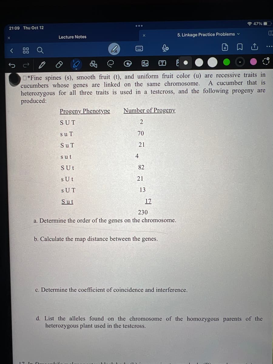 21:09 Thu Oct 12
X
Ĵ
00
Lecture Notes
Progeny Phenotype
SUT]
sut
SuT
...
sut
SUt
sUt
SUT
Sut
*Fine spines (s), smooth fruit (t), and uniform fruit color (u) are recessive traits in
A cucumber that is
cucumbers whose genes are linked on the same chromosome.
heterozygous for all three traits is used in a testcross, and the following progeny are
produced:
Number of Progeny.
2
70
21
4
82
21
13.
17
230
a. Determine the order of the genes on the chromosome.
5. Linkage Practice Problems ✓
b. Calculate the map distance between the genes.
Σ
c. Determine the coefficient of coincidence and interference.
47%
ů
d. List the alleles found on the chromosome of the homozygous parents of the
heterozygous plant used in the testcross.
B