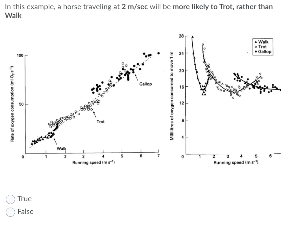 In this example, a horse traveling at 2 m/sec will be more likely to Trot, rather than
Walk
28
A Walk
Trot
• Gallop
24
100
20
Gallop
16
50
12
Trot
Walk
2
6
2
3
4
5
Running speed (m s-1)
Running speed (m s-)
True
False
Rate of oxygen consumption (ml O2 s-1)
Millilitres of oxygen consumed to move 1 m
