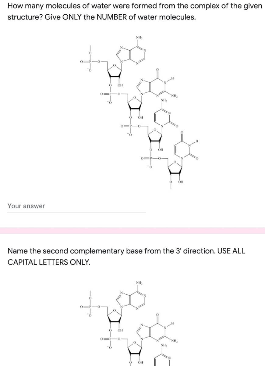 How many molecules of water were formed from the complex of the given
structure? Give ONLY the NUMBER of water molecules.
NH,
NH,
NH,
OH
0=P-0
OH
0=P-O-
Your answer
Name the second complementary base from the 3' direction. USE ALL
CAPITAL LETTERS ONLY.
NH,
NH2
NH,
