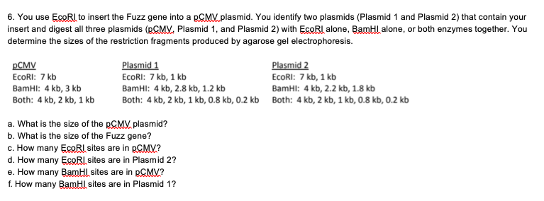 a. What is the size of the PCMV plasmid?
b. What is the size of the Fuzz gene?
c. How many EcoRI sites are in PCMV?
