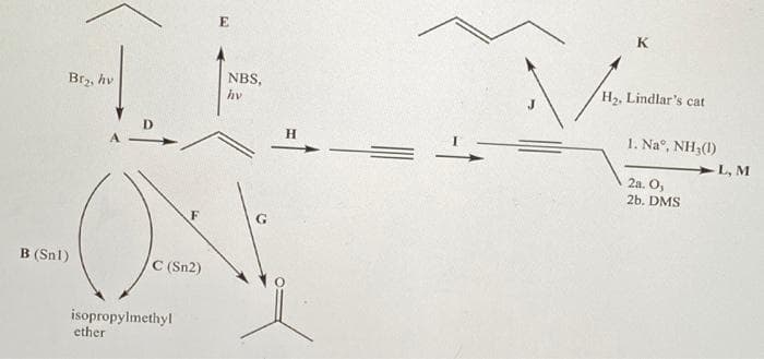 E
K
NBS,
Brz, hv
H2, Lindlar's cat
hy
H.
1. Na°, NH3(1)
>L, M
2a. O,
2b. DMS
F
B (Snl)
C (Sn2)
isopropylmethyl
ether
