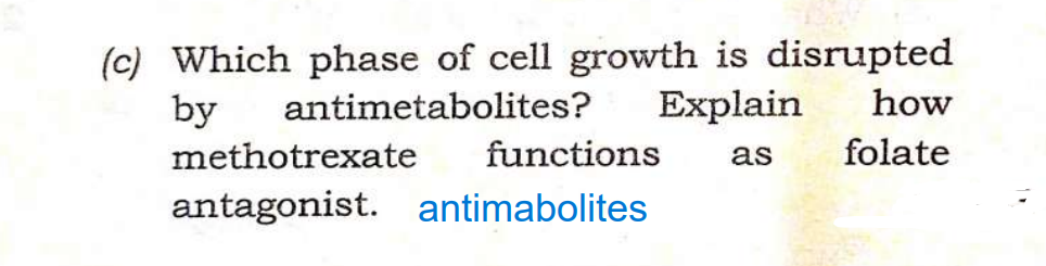 (c) Which phase of cell growth is disrupted
by
antimetabolites?
Explain how
as folate
methotrexate
functions
antagonist. antimabolites