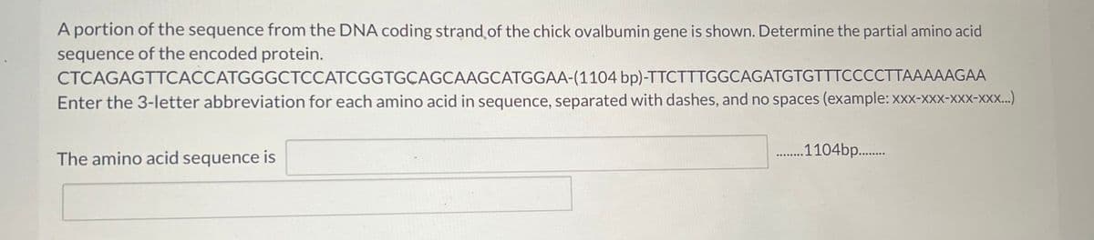 A portion of the sequence from the DNA coding strand of the chick ovalbumin gene is shown. Determine the partial amino acid
sequence of the encoded protein.
CTCAGAGTTCACCATGGGCTCCATCGGTGCAGCAAGCATGGAA-(1104
bp)-TTCTTTGGCAGATGTGTTTCCCCTTAAAAAGAA
Enter the 3-letter abbreviation for each amino acid in sequence, separated with dashes, and no spaces (example: xxx-xxx-XXX-XXX...)
The amino acid sequence is
.1104bp..…........