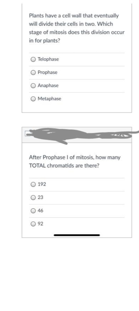 Plants have a cell wall that eventually
will divide their cells in two. Which
stage of mitosis does this division occur
in for plants?
Telophase
O Prophase
O Anaphase
O Metaphase
After Prophase l of mitosis, how many
TOTAL chromatids are there?
O 192
O 23
O 46
O 92
