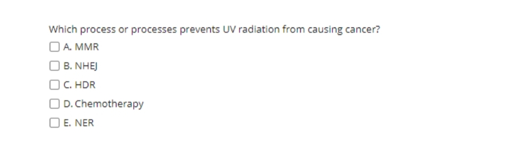 Which process or processes prevents UV radiation from causing cancer?
A. MMR
B. NHEJ
OC. HDR
O D. Chemotherapy
O E. NER
