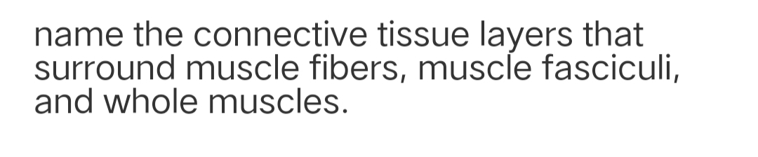 name the connective tissue layers that
surround muscle fibers, muscle fasciculi,
and whole muscles.
