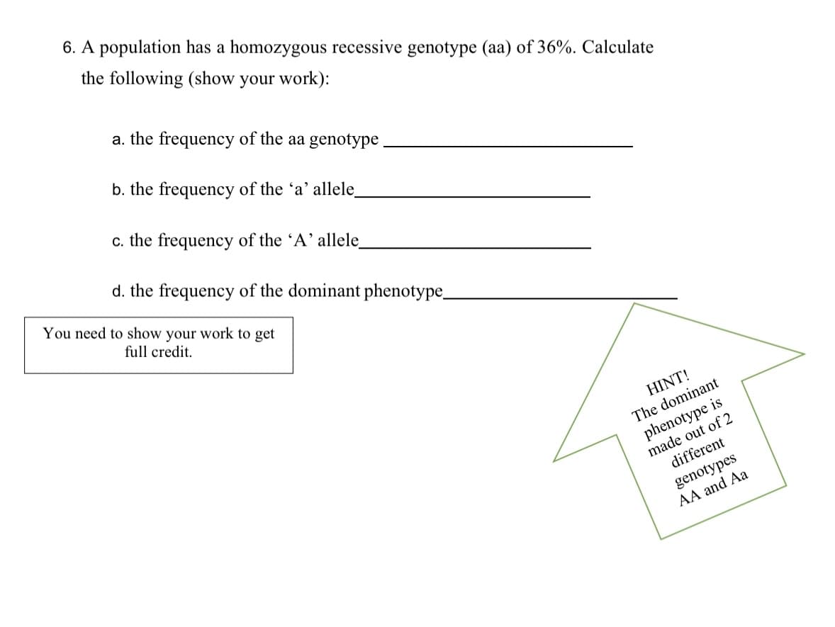 6. A population has a homozygous recessive genotype (aa) of 36%. Calculate
the following (show your work):
a. the frequency of the aa genotype
b. the frequency of the 'a' allele_
c. the frequency of the 'A' allele_
d. the frequency of the dominant phenotype_
You need to show your work to get
full credit.
HINT!
The dominant
phenotype is
made out of 2
different
genotypes
AA and Aa