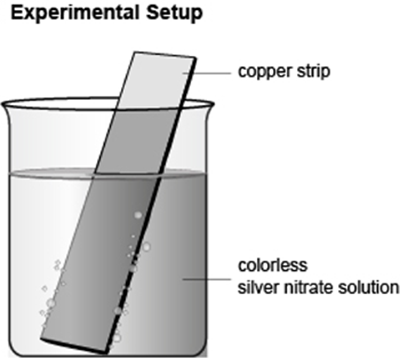 Experimental Setup
copper strip
colorless
silver nitrate solution
