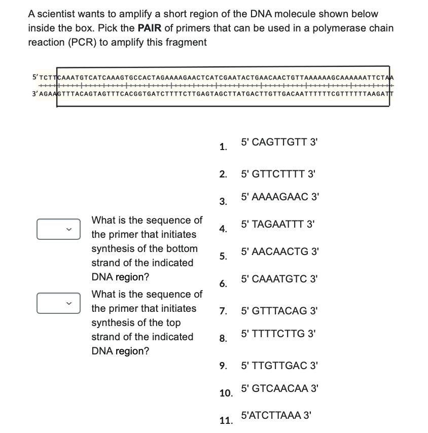 A scientist wants to amplify a short region of the DNA molecule shown below
inside the box. Pick the PAIR of primers that can be used in a polymerase chain
reaction (PCR) to amplify this fragment
5'TCTTCAAATGTCATCAAAGTGCCACTAGAAAAGAACTCATCGAATACTGAACAACTGTTAAAAAAGCAAAAAATTCTAA
3'AGAAGTTTACAGTAGTTTCACGGTGATCTTTTCTTGAGTAGCTTATGACTTGTTGACAATTTTTTCGTTTTTTAAGATT
5' CAGTTGTT 3'
1.
2.
5' GTTCTTTT 3'
5' AAAAGAAC 3'
3.
What is the sequence of
5' TAGAATTT 3'
4.
the primer that initiates
synthesis of the bottom
5' AACAACTG 3'
5.
strand of the indicated
DNA region?
5' CAAATGTC 3'
6.
What is the sequence of
the primer that initiates
7.
5' GTTTACAG 3'
synthesis of the top
strand of the indicated
5' TTTTCTTG 3'
8.
DNA region?
9.
5' TTGTTGAC 3'
5' GTCAACAA 3'
10.
11.
5'ATCTTAAA 3'
