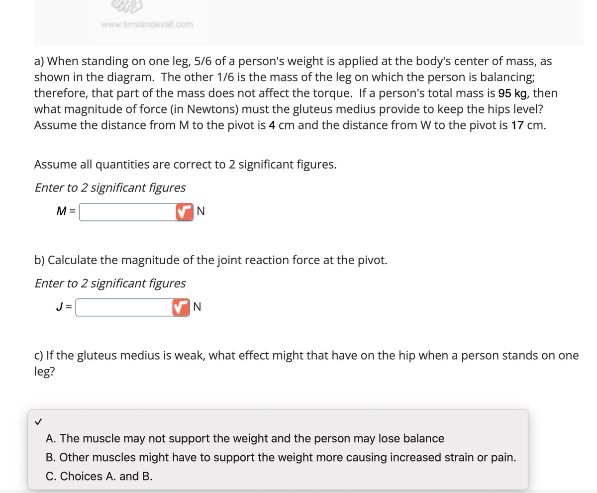 www.timvandevall.com
a) When standing on one leg, 5/6 of a person's weight is applied at the body's center of mass, as
shown in the diagram. The other 1/6 is the mass of the leg on which the person is balancing;
therefore, that part of the mass does not affect the torque. If a person's total mass is 95 kg, then
what magnitude of force (in Newtons) must the gluteus medius provide to keep the hips level?
Assume the distance from M to the pivot is 4 cm and the distance from W to the pivot is 17 cm.
Assume all quantities are correct to 2 significant figures.
Enter to 2 significant figures
M =
✔N
b) Calculate the magnitude of the joint reaction force at the pivot.
Enter to 2 significant figures
J=
N
c) If the gluteus medius is weak, what effect might that have on the hip when a person stands on one
leg?
A. The muscle may not support the weight and the person may lose balance
B. Other muscles might have to support the weight more causing increased strain or pain.
C. Choices A. and B.