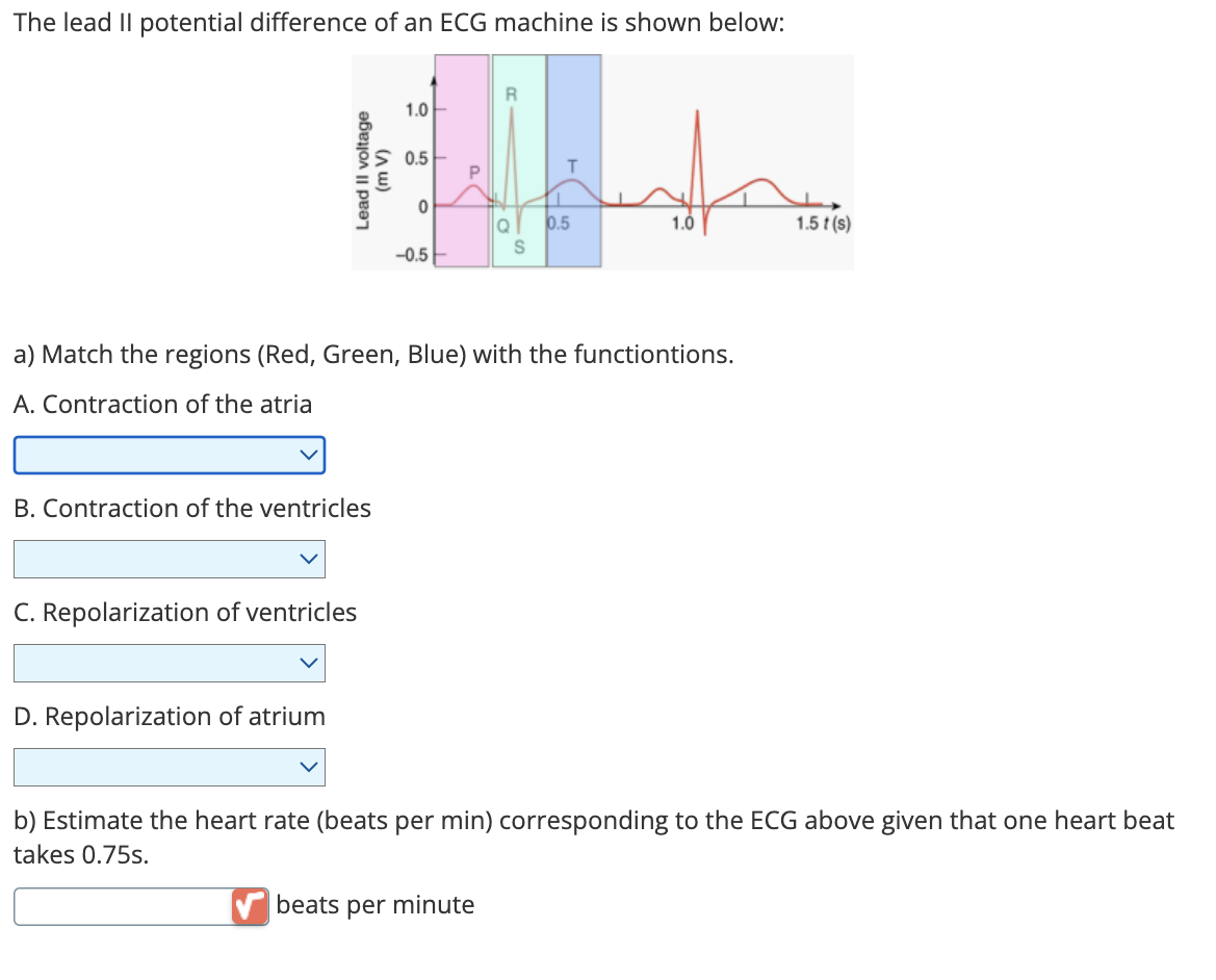 The lead II potential difference of an ECG machine is shown below:
(m voltage
Lead II
B. Contraction of the ventricles
D. Repolarization of atrium
C. Repolarization of ventricles
ա)
1.0
0.5
0
-0.5
a) Match the regions (Red, Green, Blue) with the functiontions.
A. Contraction of the atria
0.5
1.0
beats per minute
1.5 t(s)
b) Estimate the heart rate (beats per min) corresponding to the ECG above given that one heart beat
takes 0.75s.