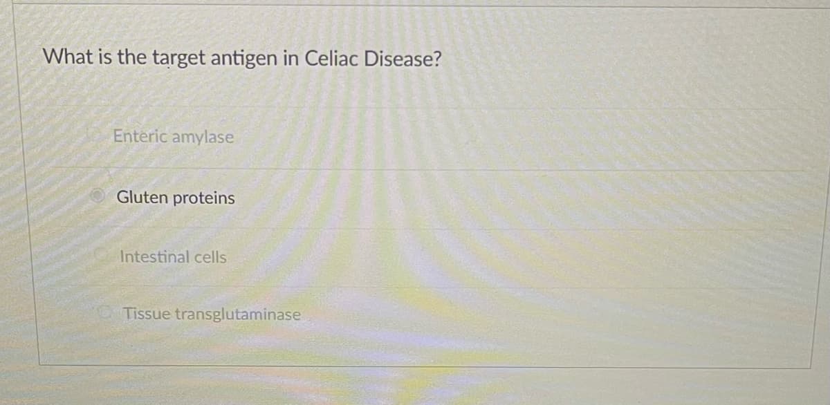 What is the target antigen in Celiac Disease?
Enteric amylase
Gluten proteins
Intestinal cells
Tissue transglutaminase