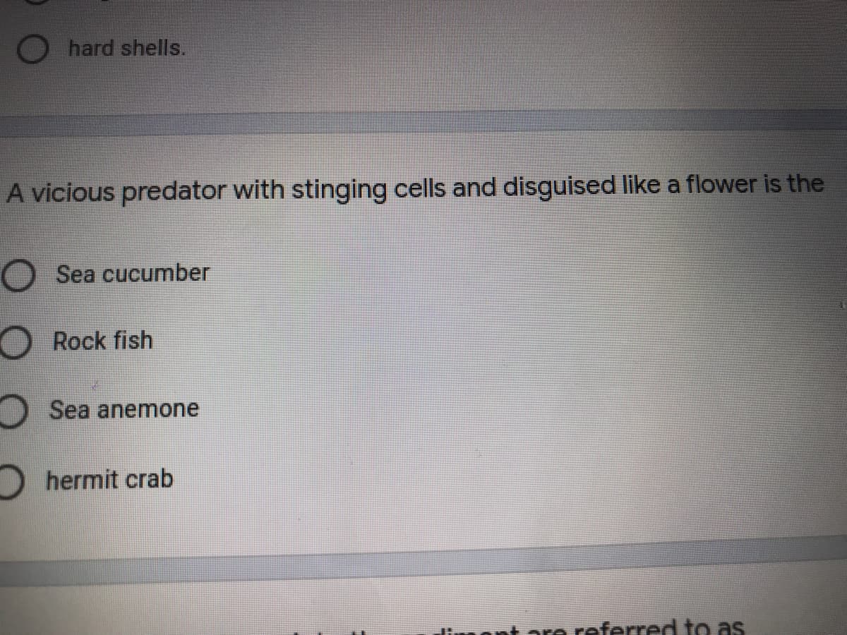 O hard shells.
A vicious predator with stinging cells and disguised like a flower is the
O Sea cucumber
O Rock fish
O Sea anemone
) hermit crab
limppt pre referred to as
