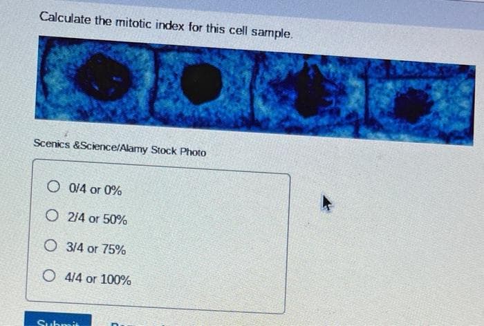 Calculate the mitotic index for this cell sample.
Scenics &Science/Alamy Stock Photo
O 0/4 or 0%
O 2/4 or 50%
O 3/4 or 75%
O 4/4 or 100%
Submit