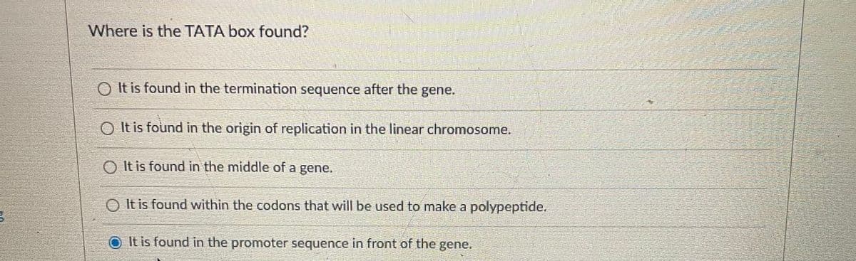 Where is the TATA box found?
O It is found in the termination sequence after the gene.
O It is found in the origin of replication in the linear chromosome.
O It is found in the middle of a gene.
O It is found within the codons that will be used to make a polypeptide.
It is found in the promoter sequence in front of the gene.
