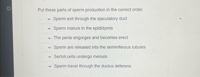 Put these parts of sperm production in the correct order.
✓ Sperm exit through the ejaculatory duct
✓
Sperm mature in the epididymis
The penis engorges and becomes erect
Sperm are released into the seminiferous tubules
✓ Sertoli cells undergo meiosis
Sperm travel through the ductus deferens