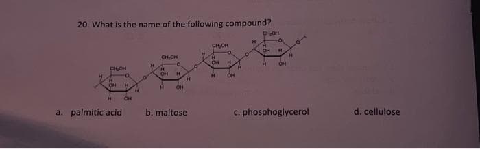 20. What is the name of the following compound?
CH₂CH
H
ON
H
a. palmitic acid
H
ON
H
O
H
CH₂OH
H
OH
H
O
H
OH
H
b. maltose
H
CH₂OH
H
OH H
H
OH
H
0
H
CH₂OH
O
H
OH H
H
OH
H
c. phosphoglycerol
d. cellulose