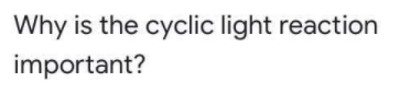 Why is the cyclic light reaction
important?