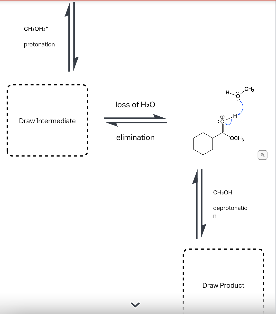 CH3OH₂+
protonation
Draw Intermediate
loss of H₂O
elimination
>
||
OCH3
CH3OH
n
CH3
deprotonatio
Draw Product
1
I
I
I
I
1
I
I
I
I