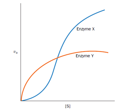Enzyme X
Enzyme Y
[S]

