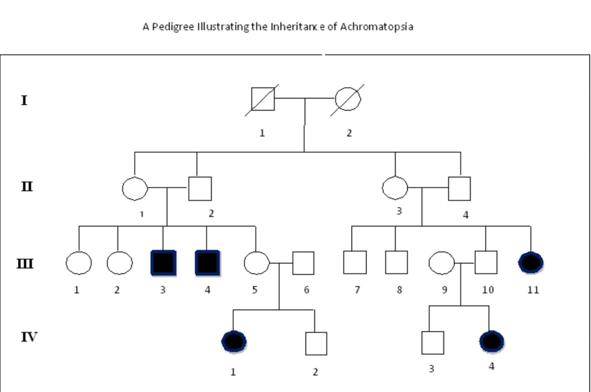 A Pedigree Illustrating the Inheritanx e of Achromatopsia
I
1
2
II
4
II
1
2
3 4
7 8
10 11
IV
4
1
2
